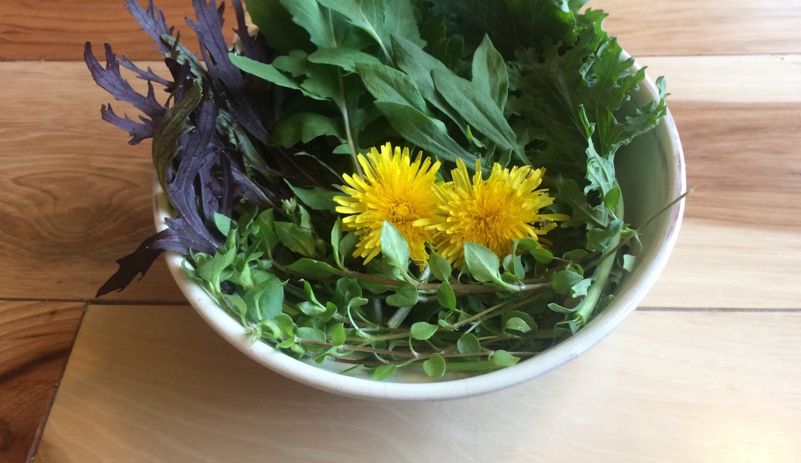 Wild and homegrown greens can be combined to make a delicious and colorful salad.