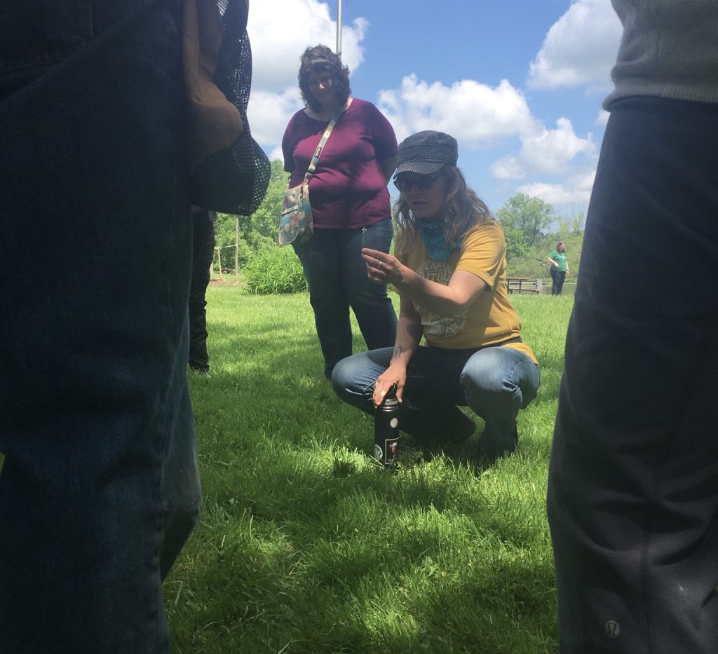 Leah Wolfe shows a group how to identify common weeds.