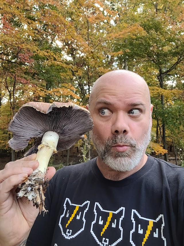 Don King found a big mushroom.